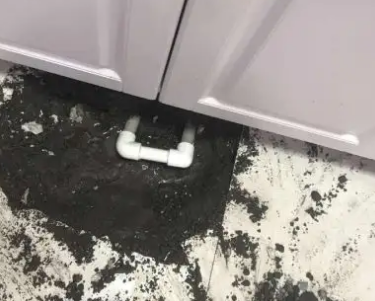 鱼峰查漏水哪家好