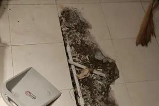 鱼峰卫生间漏水检测电话